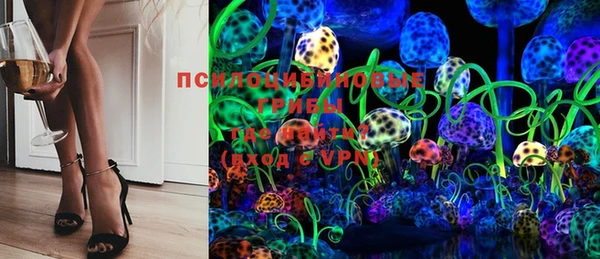 2c-b Белокуриха