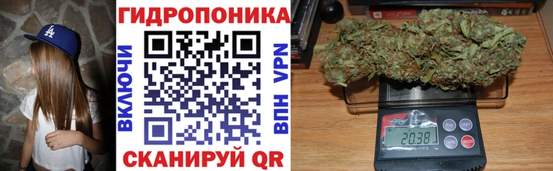 Конопля гибрид  как найти закладки  Лабинск 